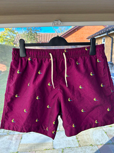 Men purple bird print - h&m,